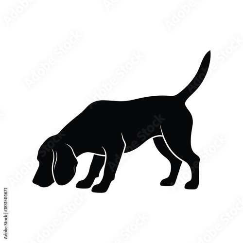 Black sniffing dog silhouette vector icon   hound scent tracker logo