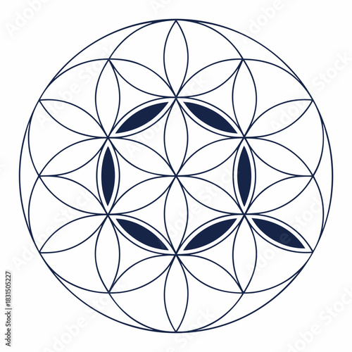 Dark blue geometric flower of life pattern navy