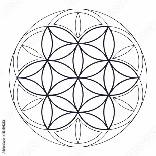 Dark blue geometric flower of life pattern sacred geometry