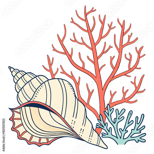 Seashell and coral illustration on white background