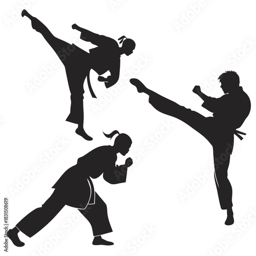 Three martial artists in action silhouettes on white background