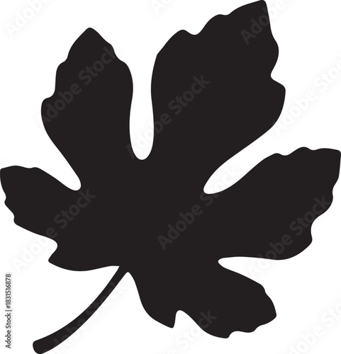 Fig leaf silhouette vector flat illustration design