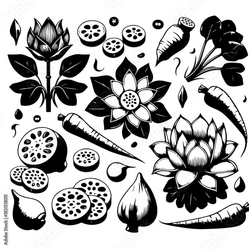 Monochrome illustration of lotus flowers, lotus roots, and carrots arranged in a pattern design