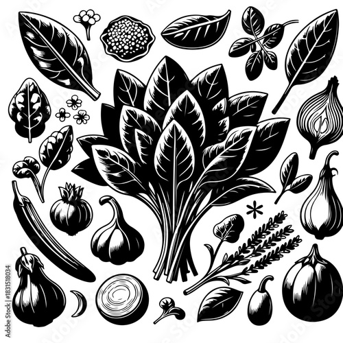 Illustration of various vegetables and herbs including spinach and eggplant in black and white