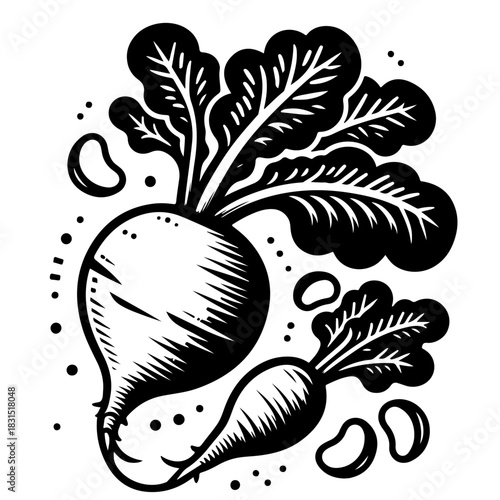 Illustration of two beets with leaves and scattered beans in a black and white woodcut style design