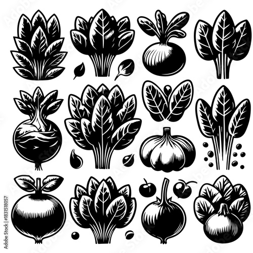 Collection of stylized black and white vegetables including spinach beets and onions arranged together