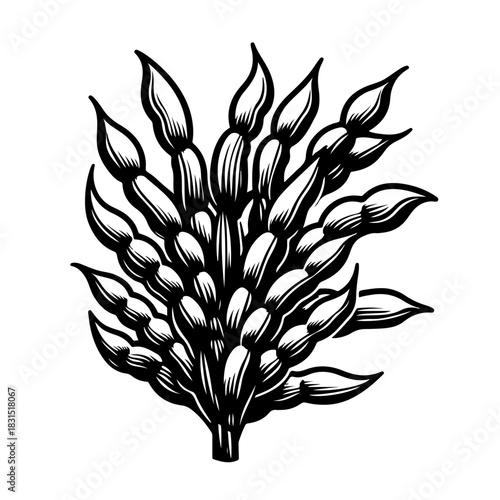 Illustration of a stylized wheat stalk with detailed line work and a bold black and white color palette
