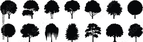 Tree silhouette icon set, foliage and shape variation collection, botanical graphics, black white vector, cad drawing flat vector illustration