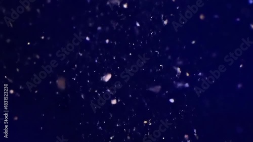 Dynamic animation featuring a vibrant explosion of abstract, geometric shapes and luminous fragments, scattering and swirling in a celebratory, non literal confetti like motion.