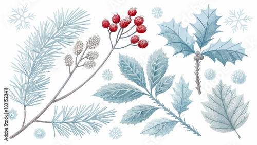 Vector christmas watercolor winter foliage arrangement featuring pine branch berries holly and frosted leaves on white background
