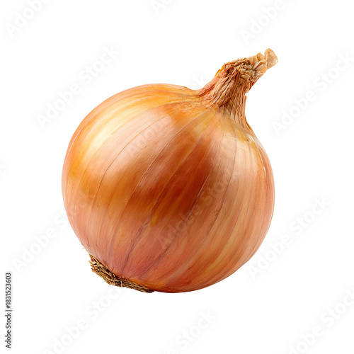 Single yellow onion, close-up