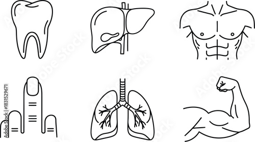 Magnifying glass search vector icon representing exploration and information retrieval isolated on white background