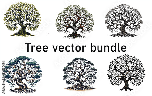 A diverse collection of black tree silhouettes, including pine and fir. Vector graphic set for nature and forest design.Tree silhouette vector set, forest tree clipart, pine and deciduous trees, black