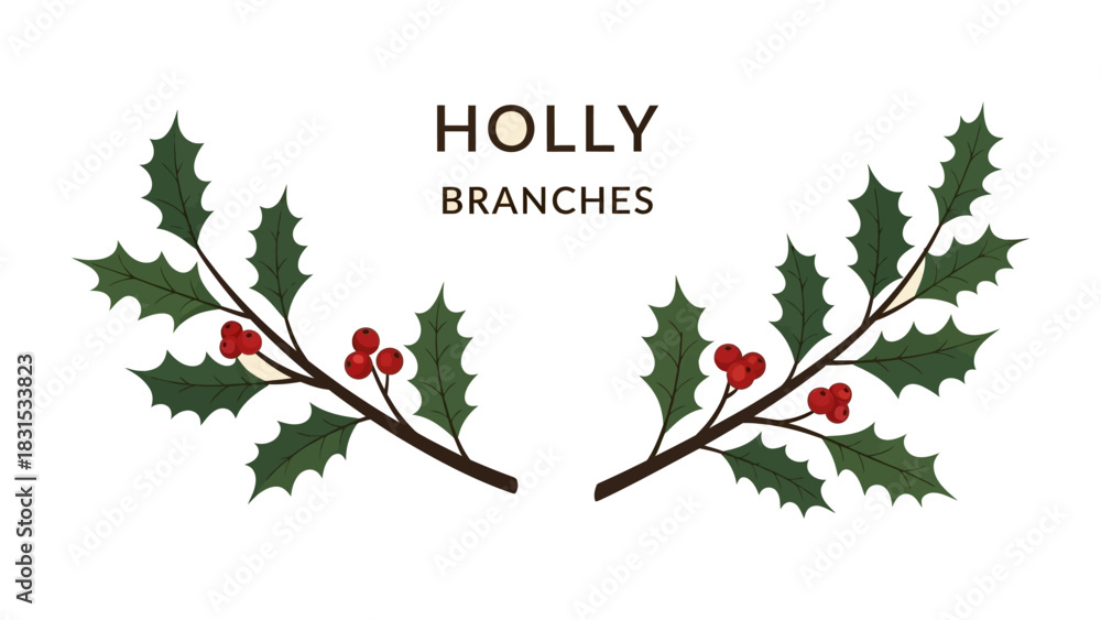 Fototapeta premium Festive Holly Branches: An illustration of symmetrical holly branches arranged to showcase vibrant green leaves and bright red berries, a classic symbol of the winter holidays.