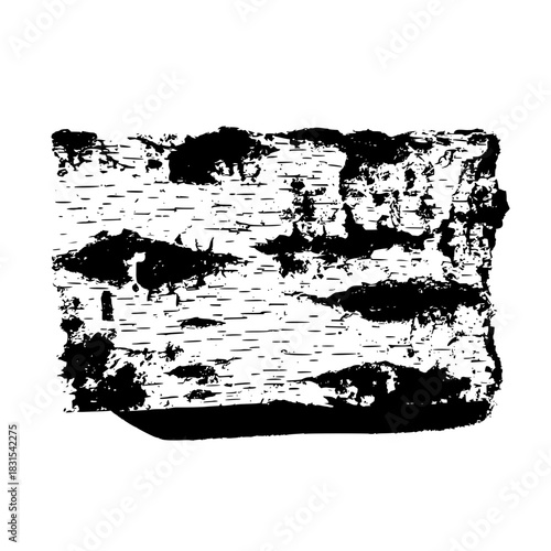 Detailed birch bark fragment isolated on, revealing the unique texture and patterns formed by natures artistry in a striking black and white composition