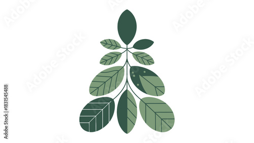 Leafy Branch Design: An artistic illustration of a verdant leaf branch, showcasing the intricate patterns of nature's simple and fresh design.