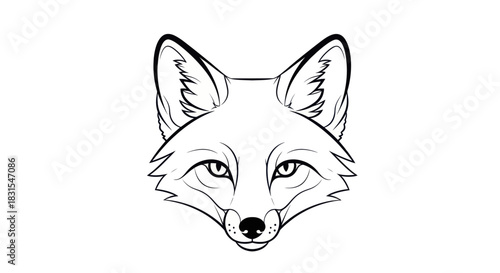 Line Art Illustration of a Fox's Face with Detailed Ears and Expression for Artistic Use
