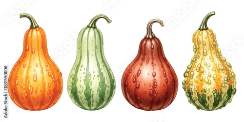 Colorful decorative gourds, hand-drawn watercolor illustration on white