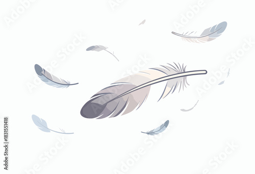 A collection of softly colored feathers floating on a pristine white background. A symbol of freedom and lightness