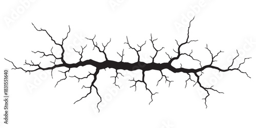 Abstract black crack pattern, intricate branching texture element isolated