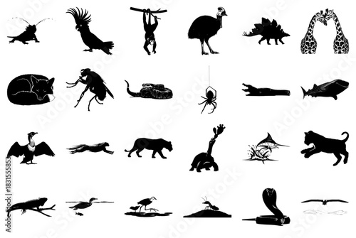 Australian Wildlife Silhouettes Collection illustration