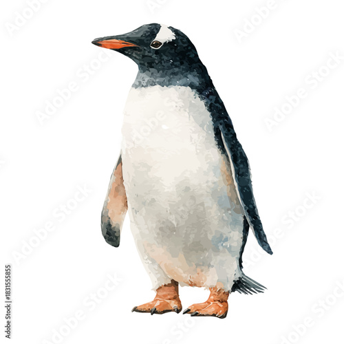 Penguin watercolor vector illustration, high-quality artwork isolated on a pure white background.