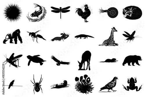 Collection Of Animal And Insect Silhouettes Keywords: sea urchin, koi fish, dragonfly, rooster