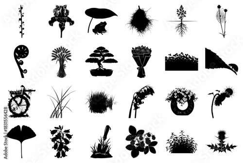 Collection of Black and White Silhouettes of Plants and Nature Elements Keywords: vine, iris