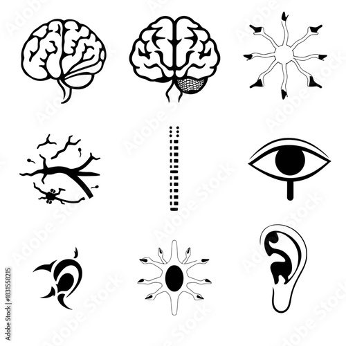 Graphic depicting the human brain eye ear and other anatomical features