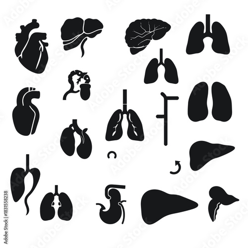 Medical icons displaying various human organs in a grid pattern