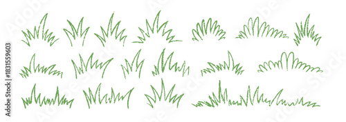 Doodle vector grass with crayon, pastel or chalk texture. Organic vector hand drawn green illustration on a white background.