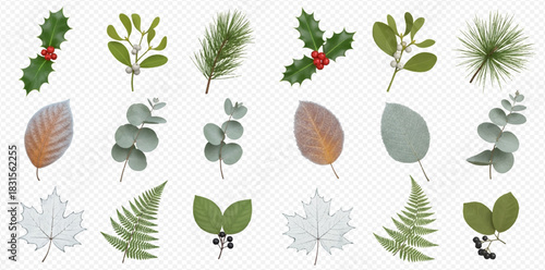 A vibrant collection of various botanical elements including holly, mistletoe, pine, eucalyptus, and other leaves.