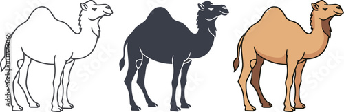 Three camel illustrations isolated on white background a line drawing, a silhouette, and a colored version of a dromedary standing in profile