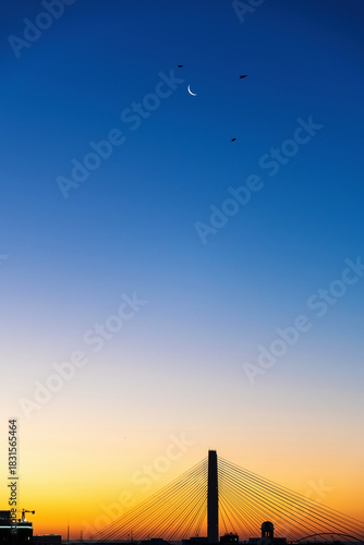 Long shot captures a bridge silhouette against a vibrant gradient sky, featuring a crescent moon and silhouetted birds overhead