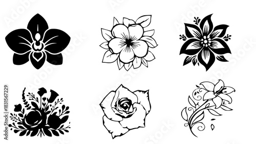 Floral Symphony: A collection of exquisite flowers, each a unique masterpiece of botanical artistry, meticulously captured to showcase their elegant forms. 