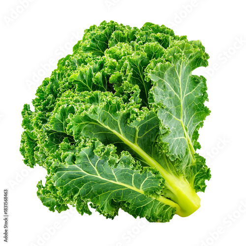 Kale isolated on with white background(2)