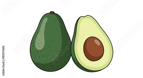 A vibrant illustration of a whole, dark green avocado and a halved one showcasing its creamy light green flesh and large brown pit on a white background.