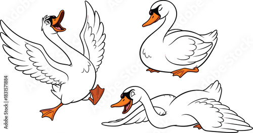 Fototapeta Naklejka Na Ścianę i Meble -  Three cartoon swans in various poses white background bird animal