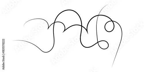 Abstract black line art with flowing curves and loops on a white background, resembling a decorative flourish or stylized script.