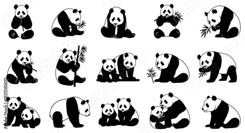 Monochrome vector illustrations of pandas with bamboo and cubs