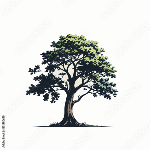 Majestic tree illustration showcasing lush green foliage and sturdy trunk.