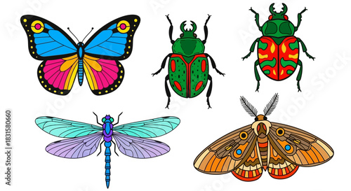 Brightly colored bugs illustration set, isolated for design usage.
