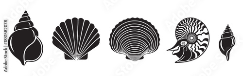 Diverse set of five black seashell silhouettes, including detailed scallop, conch, and nautilus illustrations, presented as a clean and modern graphic icon collection