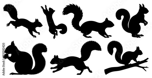 Wild Squirrel Silhouette Collection Vector Set in Running and Jumping Poses, Transparent Background