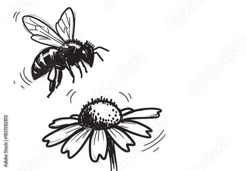 Hand-drawn black and white sketch of a bee flying towards a simple daisy flower, a charming and rustic nature illustration with expressive linework and movement marks