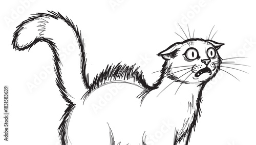 Frightened black and white cat sketch with an arched back and fur standing on end, looking terrified with wide eyes and an open mouth in a hand-drawn cartoon style