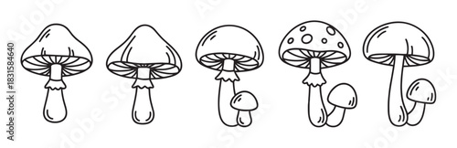 Set of five hand-drawn mushroom illustrations in a simple black and white line art style, featuring various cute and whimsical fungi designs for a magical forest theme