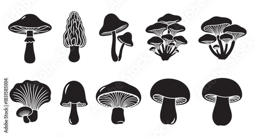 Collection of black mushroom silhouettes in various shapes and sizes, including morel and oyster types, depicted in a simple graphic illustration style for botanical or food concepts