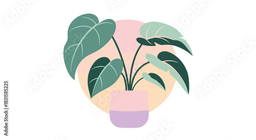 A stylized illustration featuring an indoor potted plant with large green leaves and a pastel two-tone pot, set against a circular gradient background.