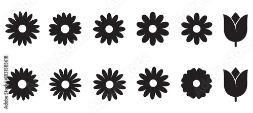 Set of twelve black flower icons featuring various daisy, chamomile, and tulip silhouettes in a simple, minimalist graphic style arranged neatly in two horizontal rows